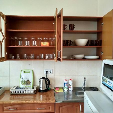 Apartments Domovik Просторная Квартира С Видом На Горы Μουκάτσεβο Εξωτερικό φωτογραφία