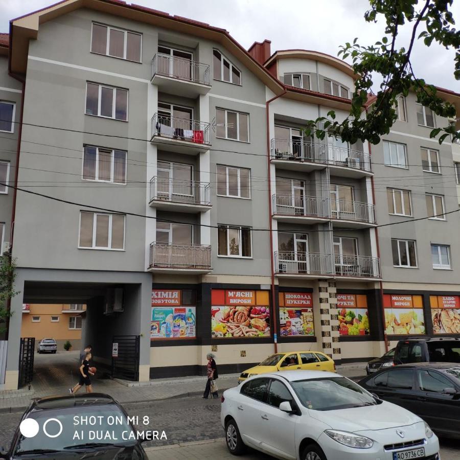 Apartments Domovik Просторная Квартира С Видом На Горы Μουκάτσεβο Εξωτερικό φωτογραφία