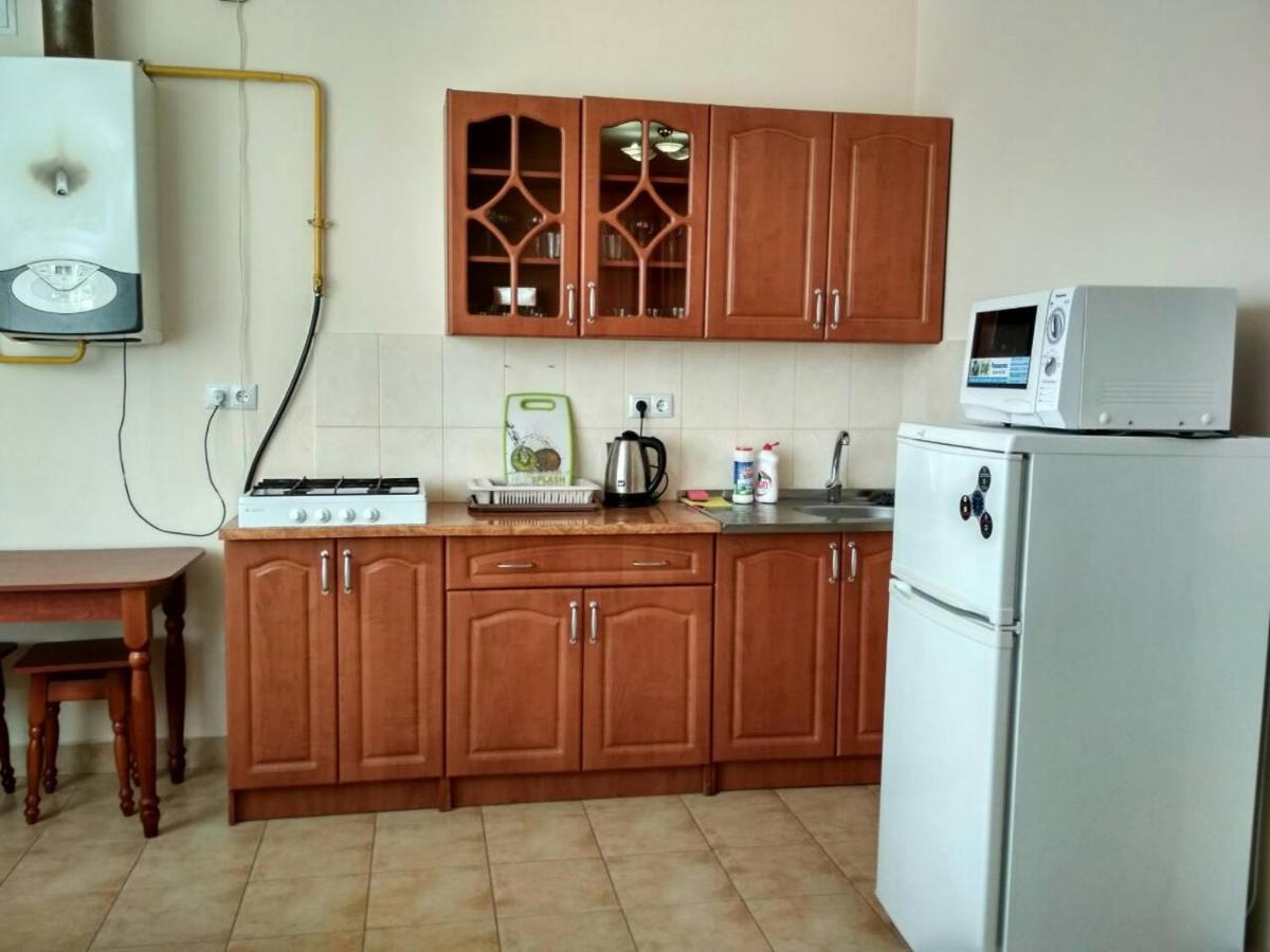 Apartments Domovik Просторная Квартира С Видом На Горы Μουκάτσεβο Εξωτερικό φωτογραφία